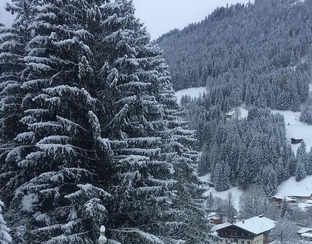 Obwiesen Kirchberg in Tirol